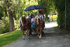 Flyer/Grafik zum Event: Pferdekutschenfahrt am Sa., 21.03.2015 von 14:00 bis 15:00 Uhr