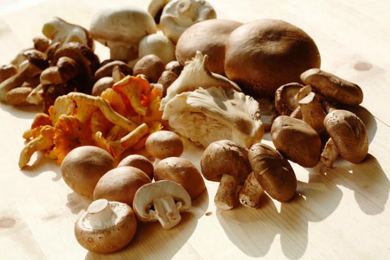 Flyer/Grafik zum Event: Schwammerl & Beeriges am Mi., 01.07.2015 - Mo., 31.08.2015 von 11:00 bis 22:00 Uhr