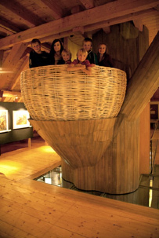 Flyer/Grafik zum Event: Von Waldschrazeln und Wurzelzwergen am Mo., 17.08.2015 von 13:00 bis 15:30 Uhr