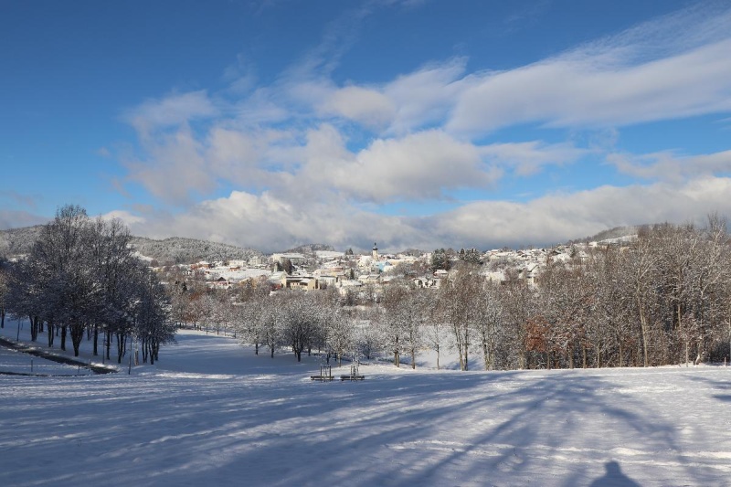 Flyer/Grafik zum Event: Stadtführung "Von Bären und Salzsäumern" am Di., 03.01.2023 von 11:00 bis 13:00 Uhr