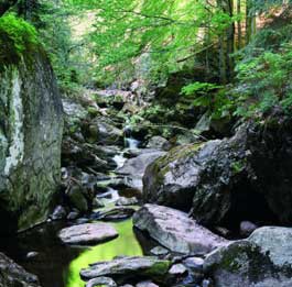 Flyer/Grafik zum Event: Wanderung am Di., 16.06.2015 von 13:00 bis 16:00 Uhr